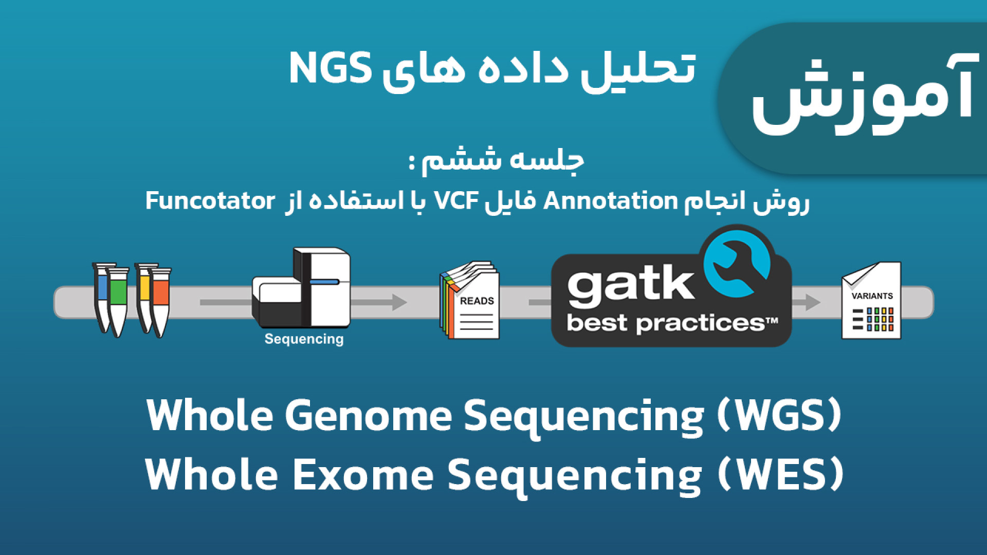 آموزش تحلیل داده های NGS ژنومیکس (WES و WGS) - جلسه 6 : Funcotator اردک بلوتوثی