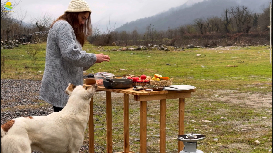 آموزش آشپزی کباب تابه ایی در طبیعت