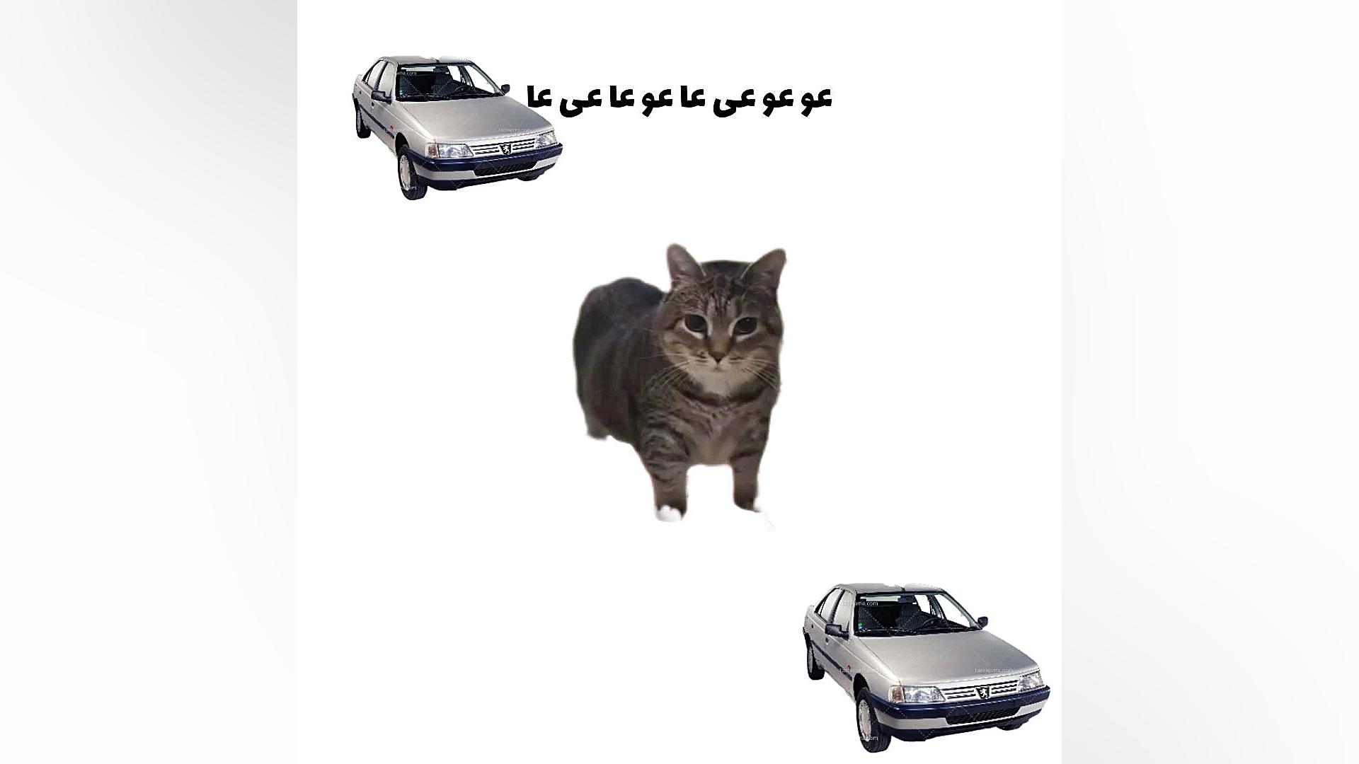 اسم منو عی عا عو عا جراحی فک