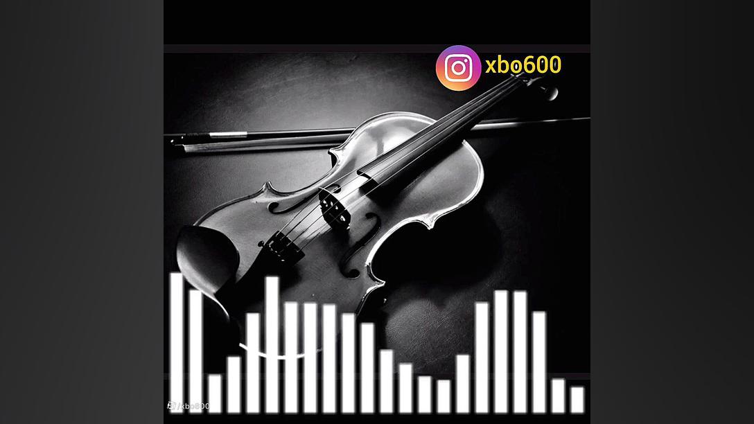 آهنگ نمی‌چینم گلی فشن شو