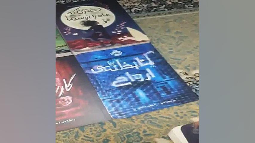 کتاب برفین و رزالین اثر امیلی وینفیلد مارتین انتشارات پرتقال - فیلم ارسالی خریدا Northern Blot