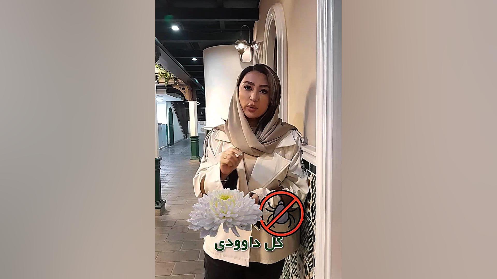 گزش ساس و اثرات بلندمدت آن بر سلامت موچوله