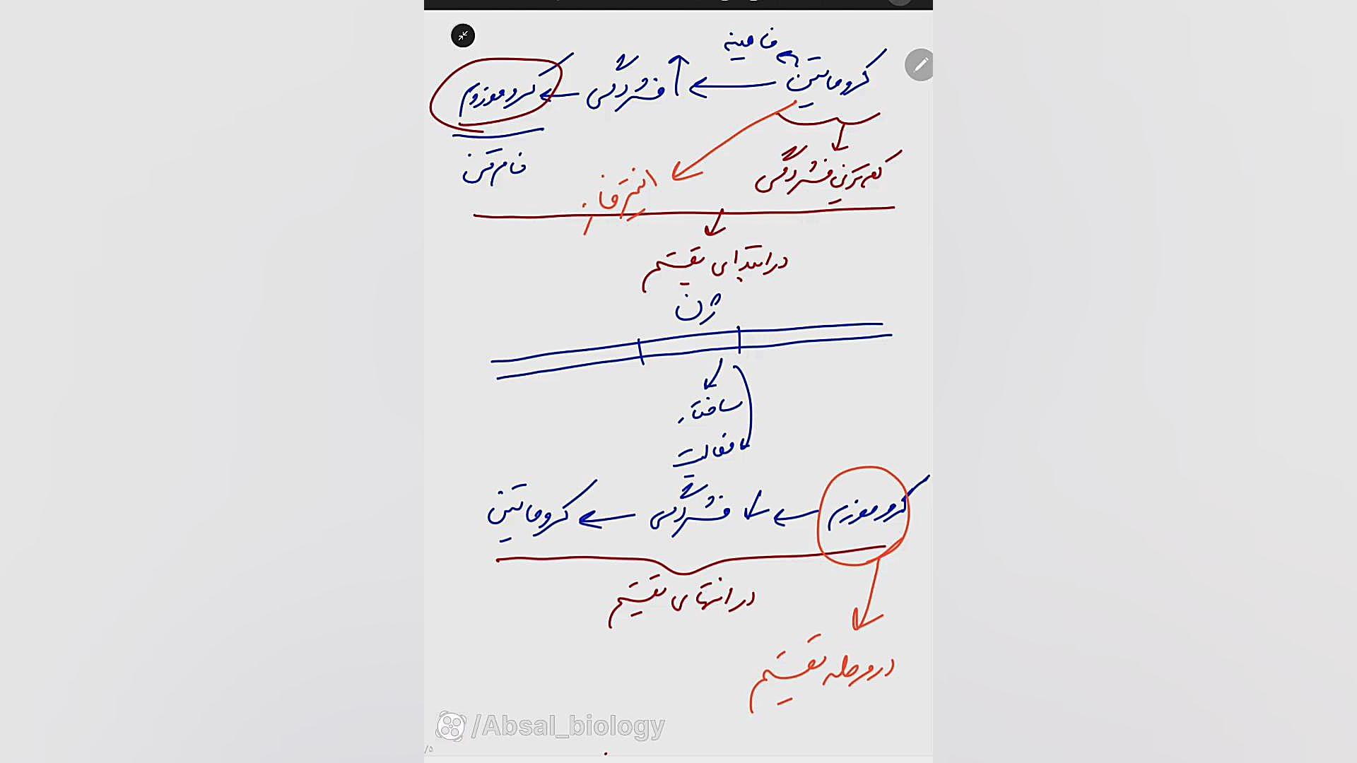 تقسیم سلولی - ماده وراثتی پرویز پرستویی