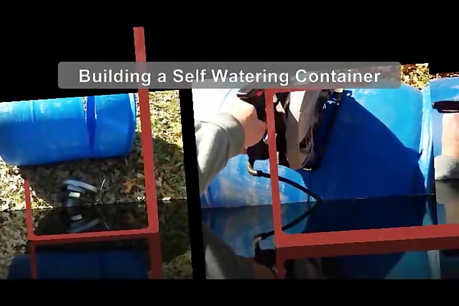 DIY How to Build a Self Watering Container