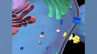 Gene Expression بلاگر