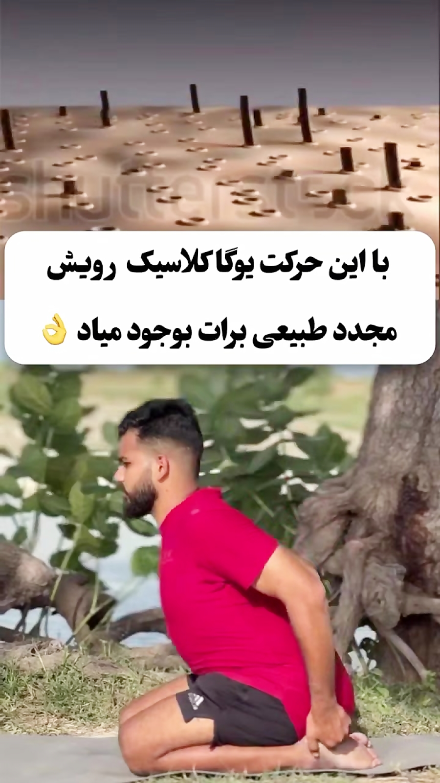 رشد مو با یوگا