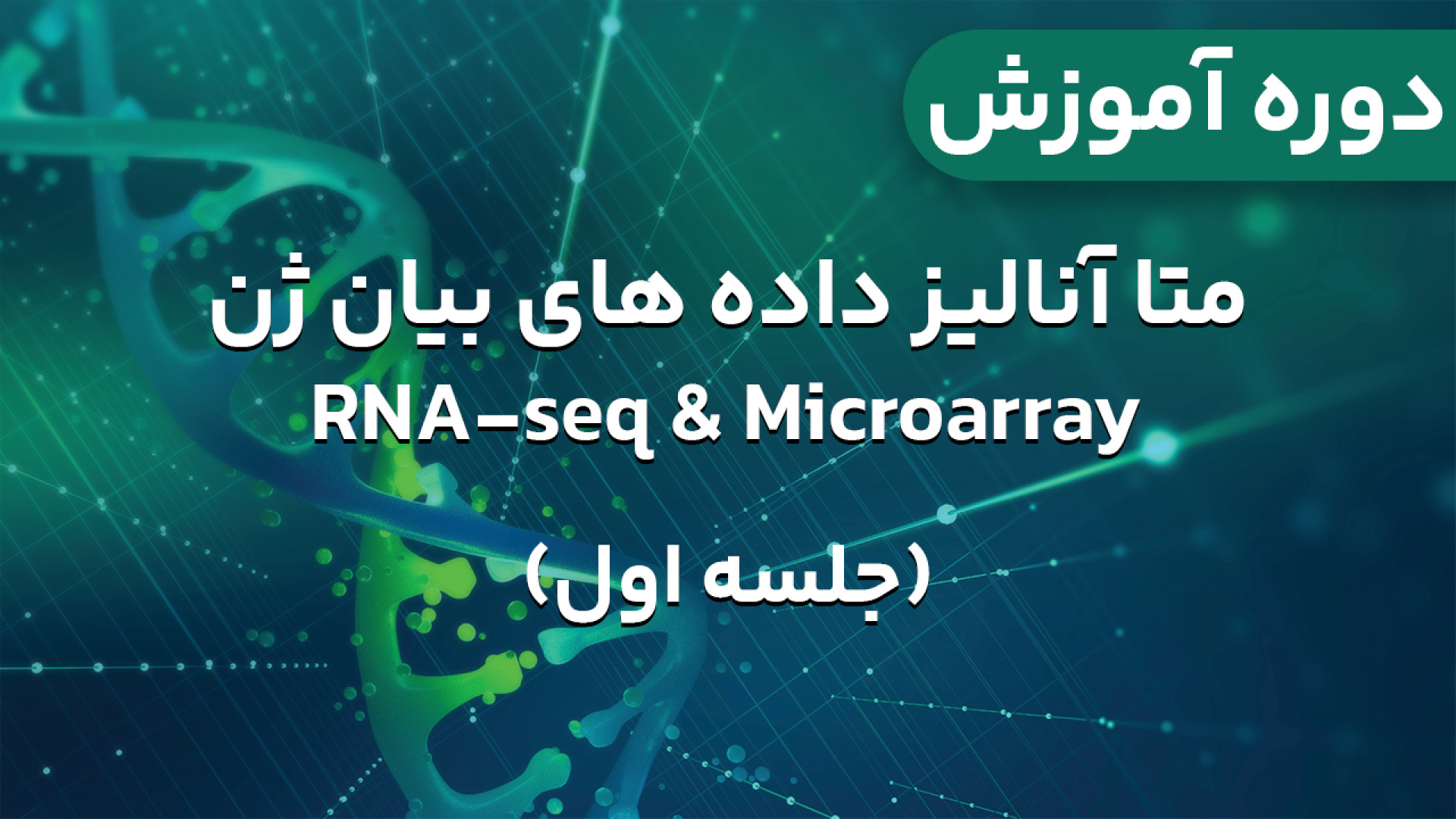 بیوانفورماتیک - دوره آموزش متا آنالیز داده های بیان ژن - جلسه اول کیلیان امباپه
