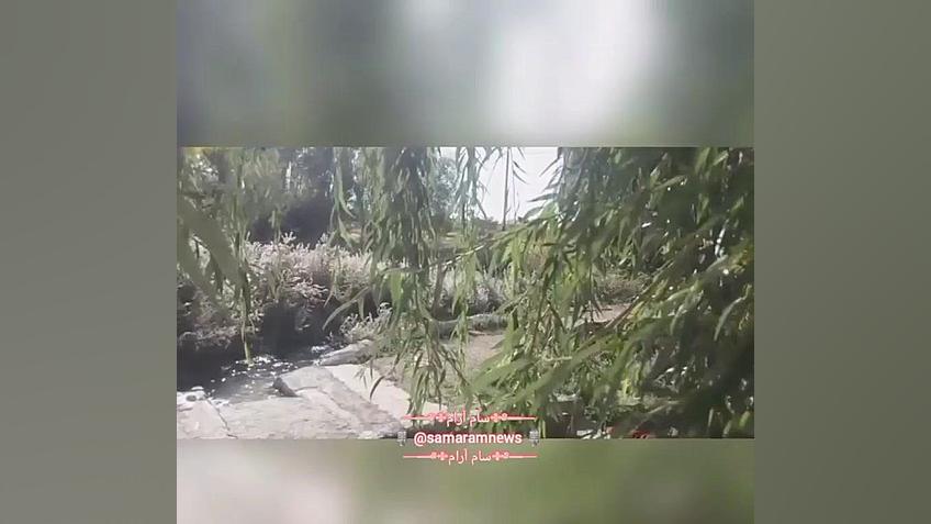 ابراهیم طاهری شاعر(تخلص:ابیتا) شتر موزیکال