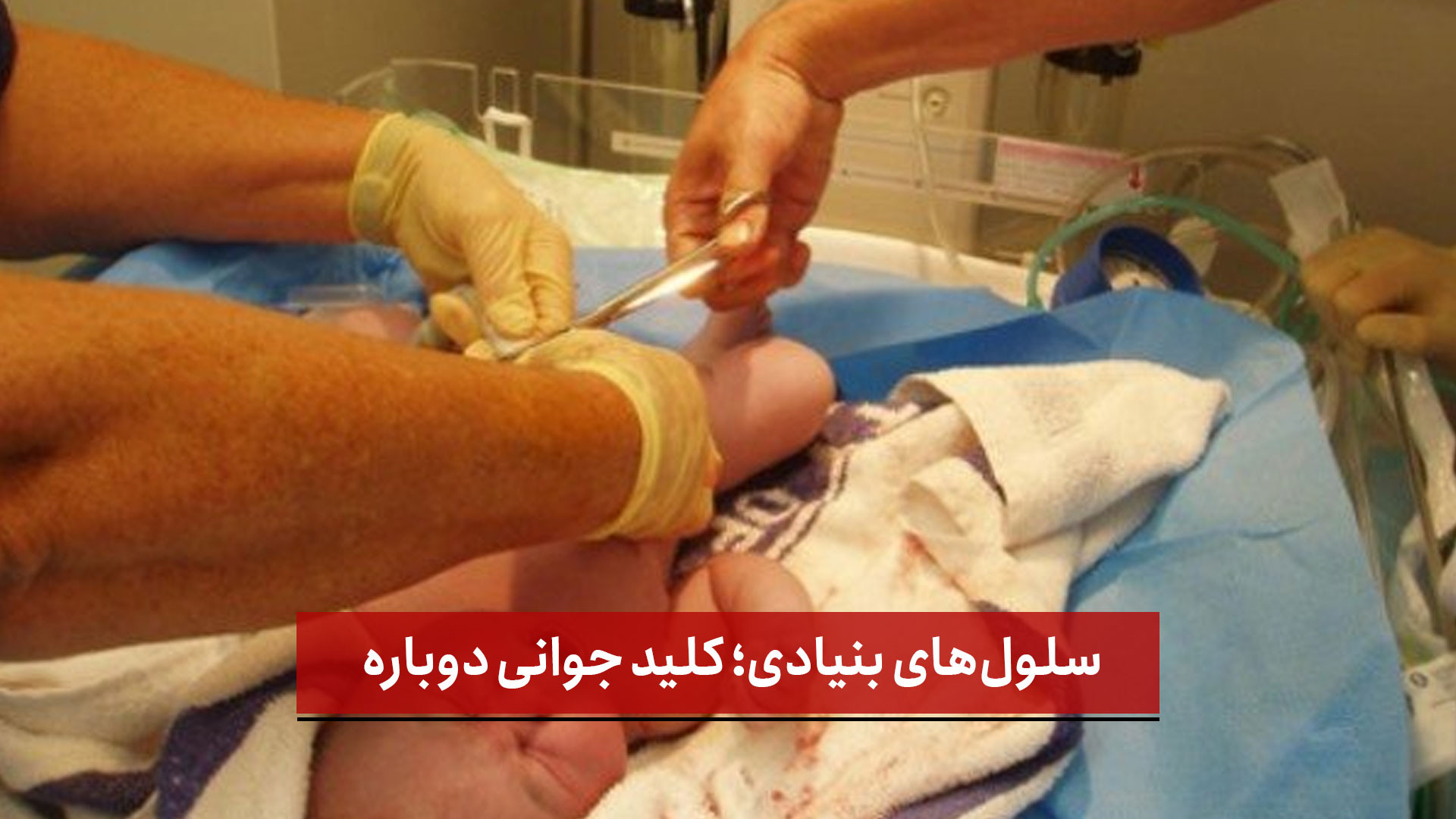 سلول‌های بنیادی؛ کلید جوانی دوباره برداشتن خال