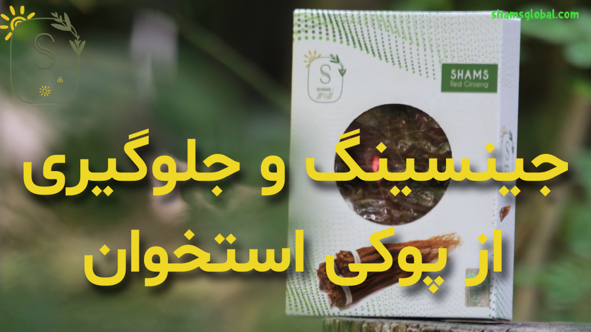 خواص جینسینگ در جلوگیری از پوکی استخوان لیپوساکشن