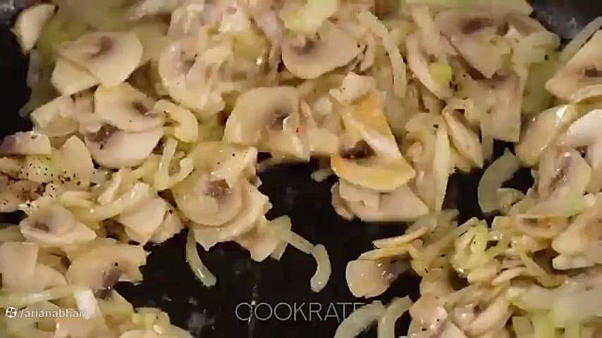 arianabhari
