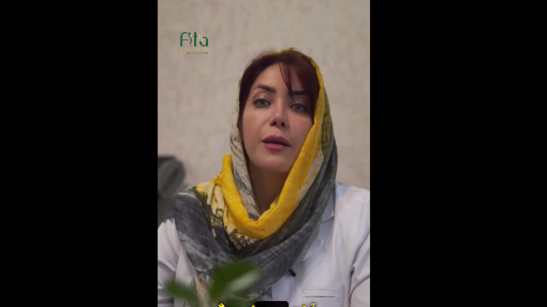 کاربرد امبدینگ چیست؟ دکتر حمیده آقایی