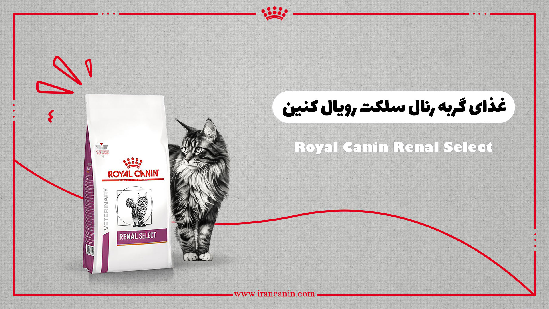 غذای گربه رنال سلکت رویال کنین زیبایی پوست