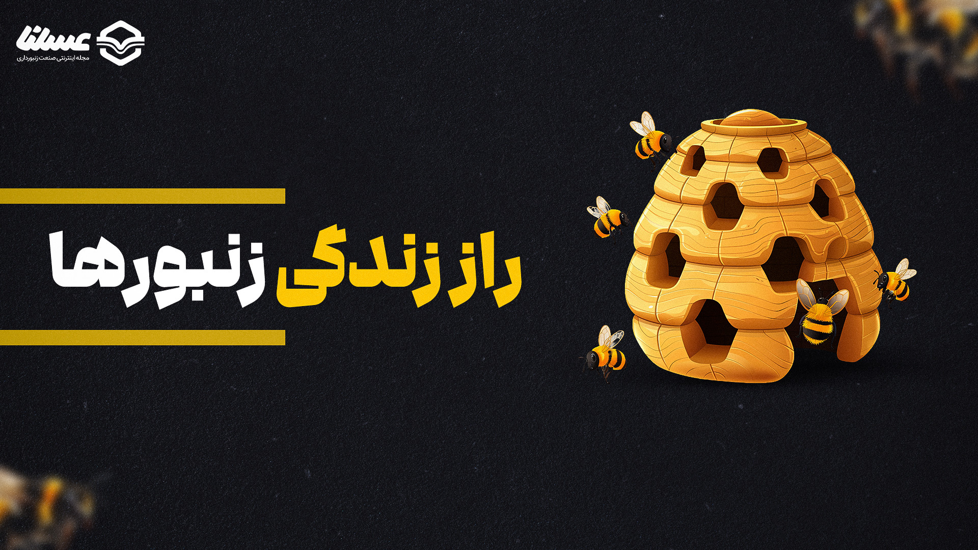 عسل خام برای درمان بیماری‌های لثه | ۵ فایده شگفت‌انگیز PRO-Seq