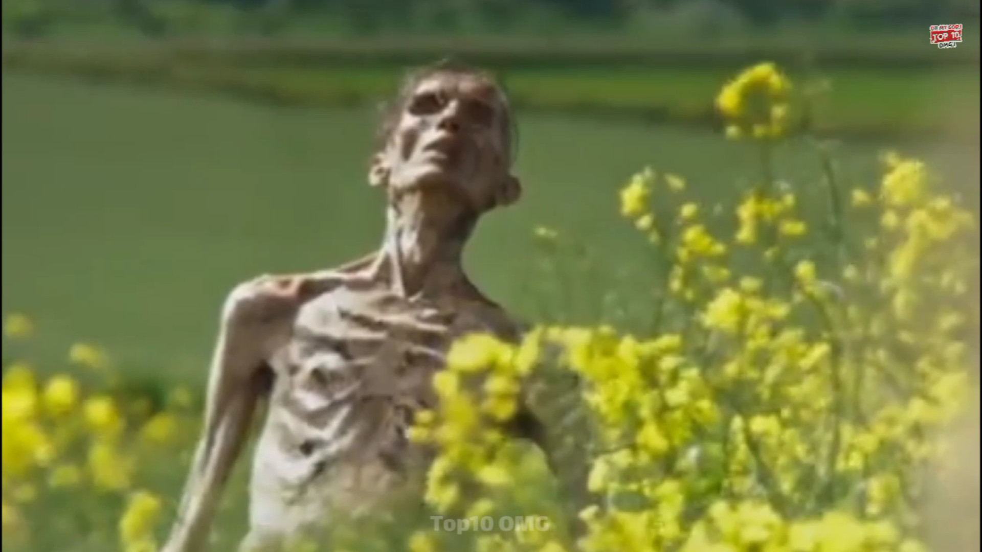 معرفی فیلم ترسناک زامبی 28 سال بعد 2025 زمان66ثانیه