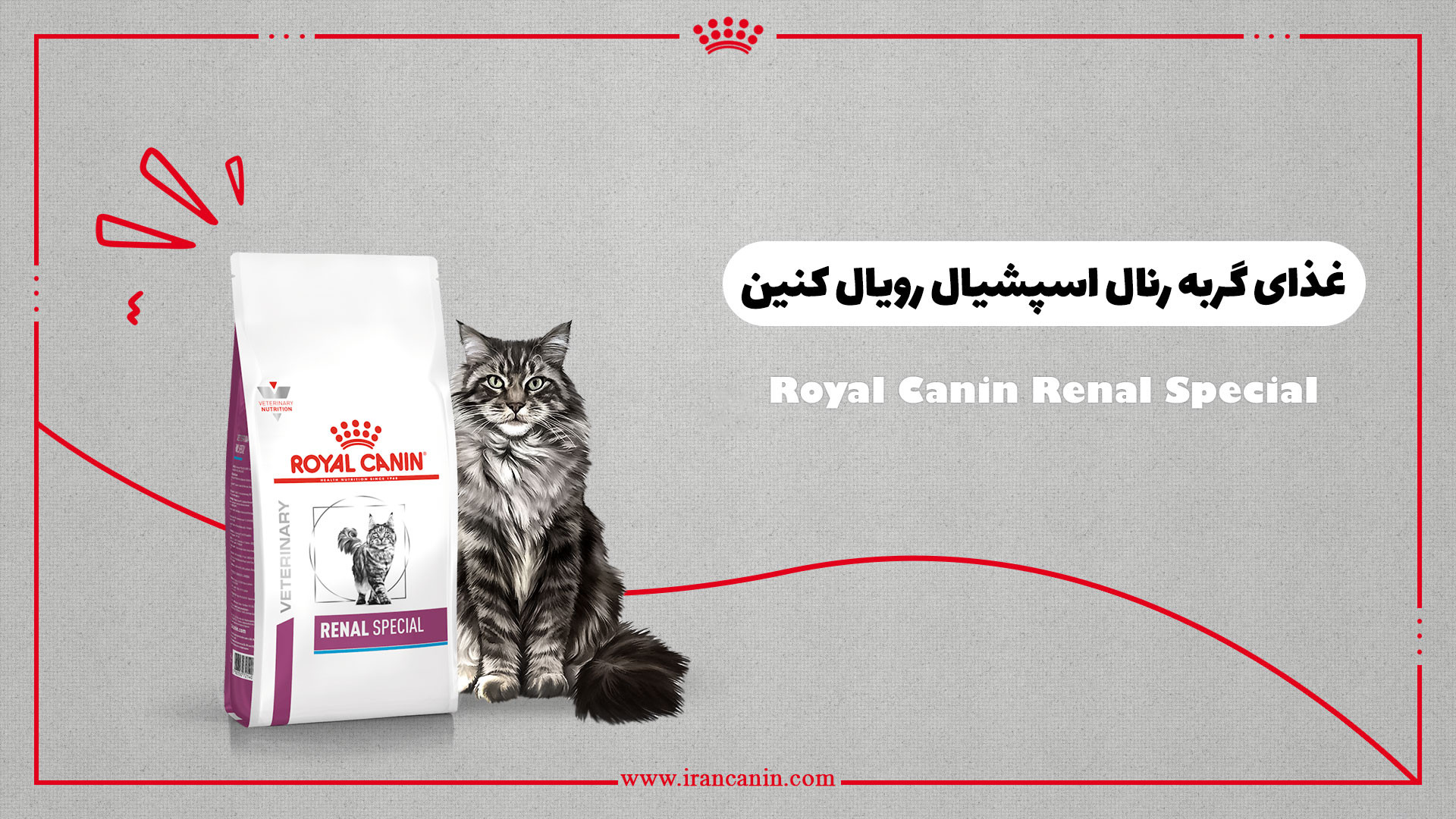 غذای گربه رنال اسپشیال رویال کنین ترمیم سوختگی
