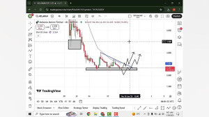 تحلیل , ملانیا , بهمن , ویدیو , melania , https: , malikhabar , com , analysis-of-melanias-currency