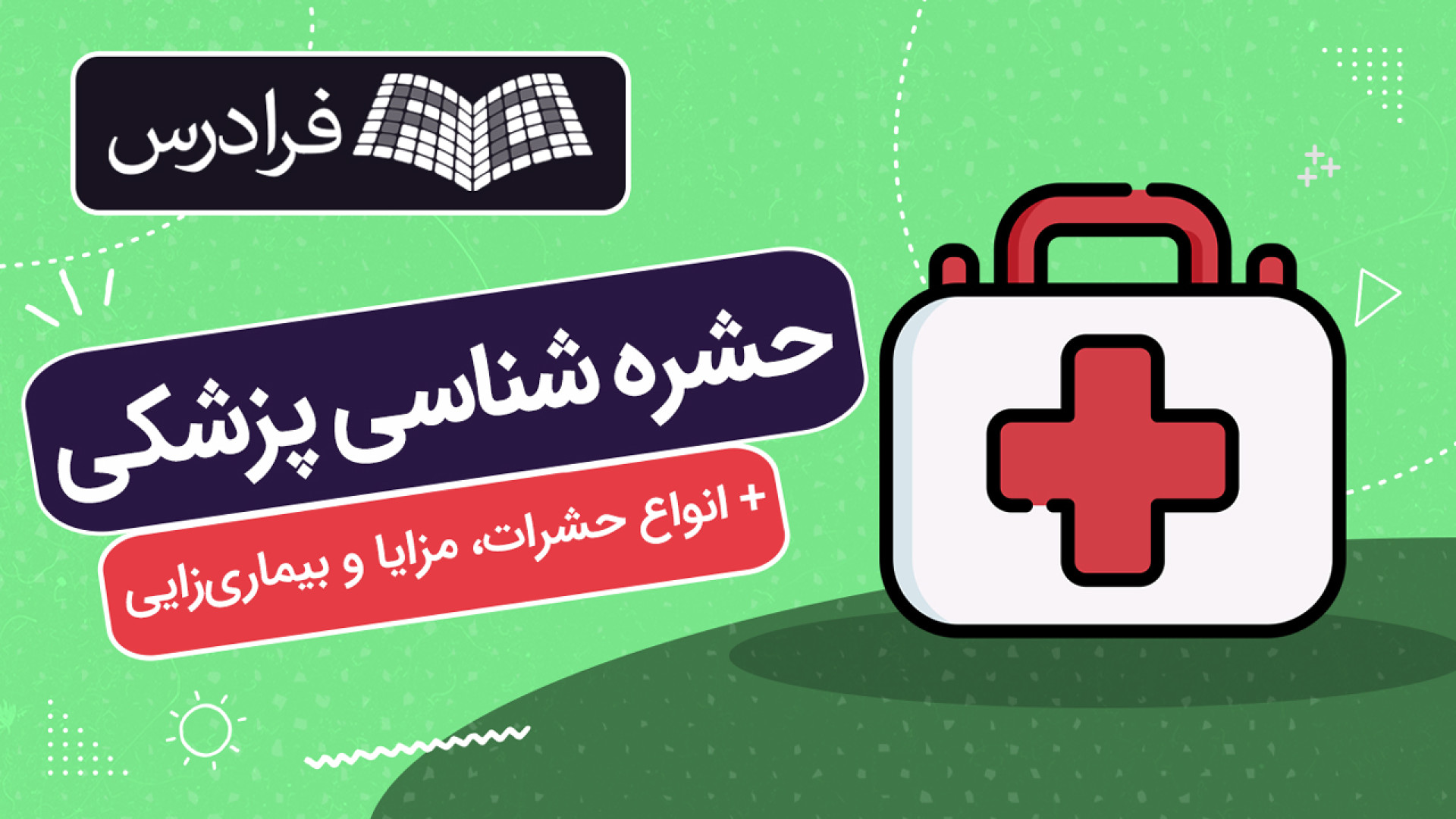 آموزش حشره شناسی پزشکی انواع حشرات، مزایا و بیماری‌زایی پیلینگ