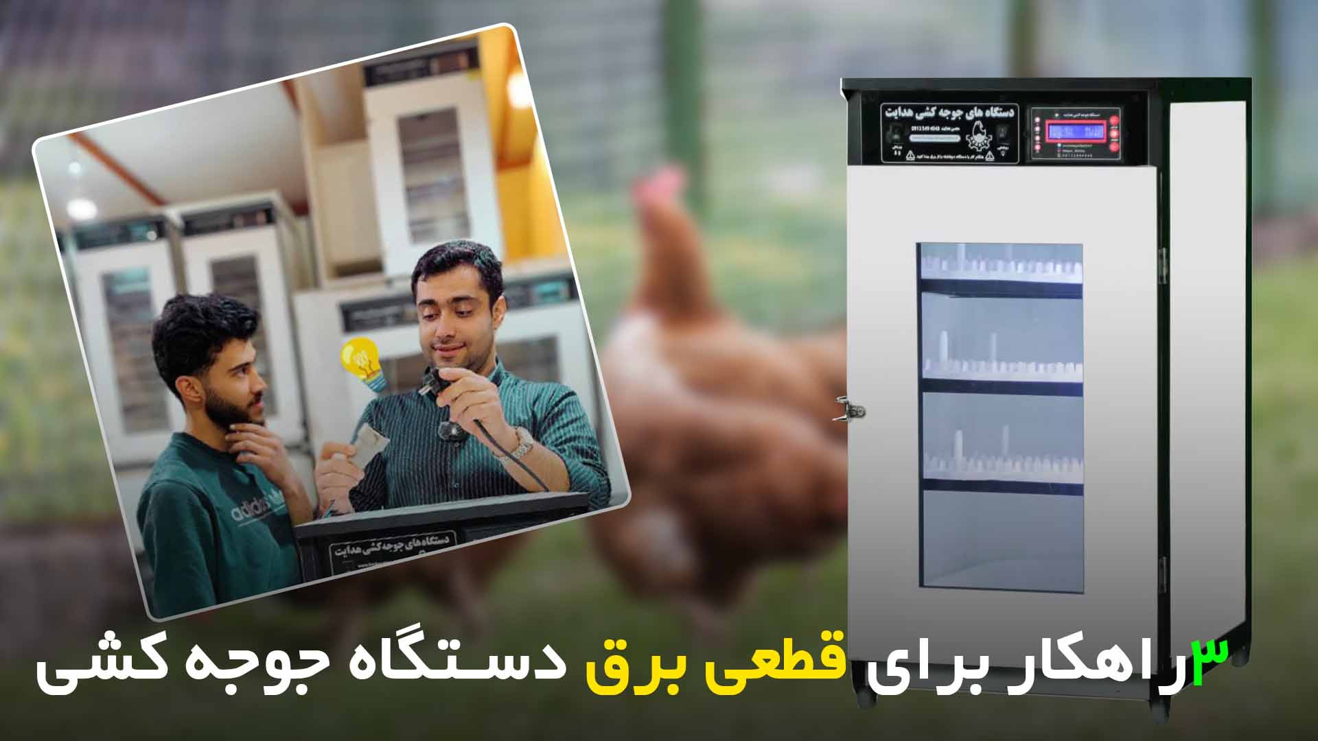 3 راهکار قطعی برق برای دستگاه جوجه کشی مهران مدیری