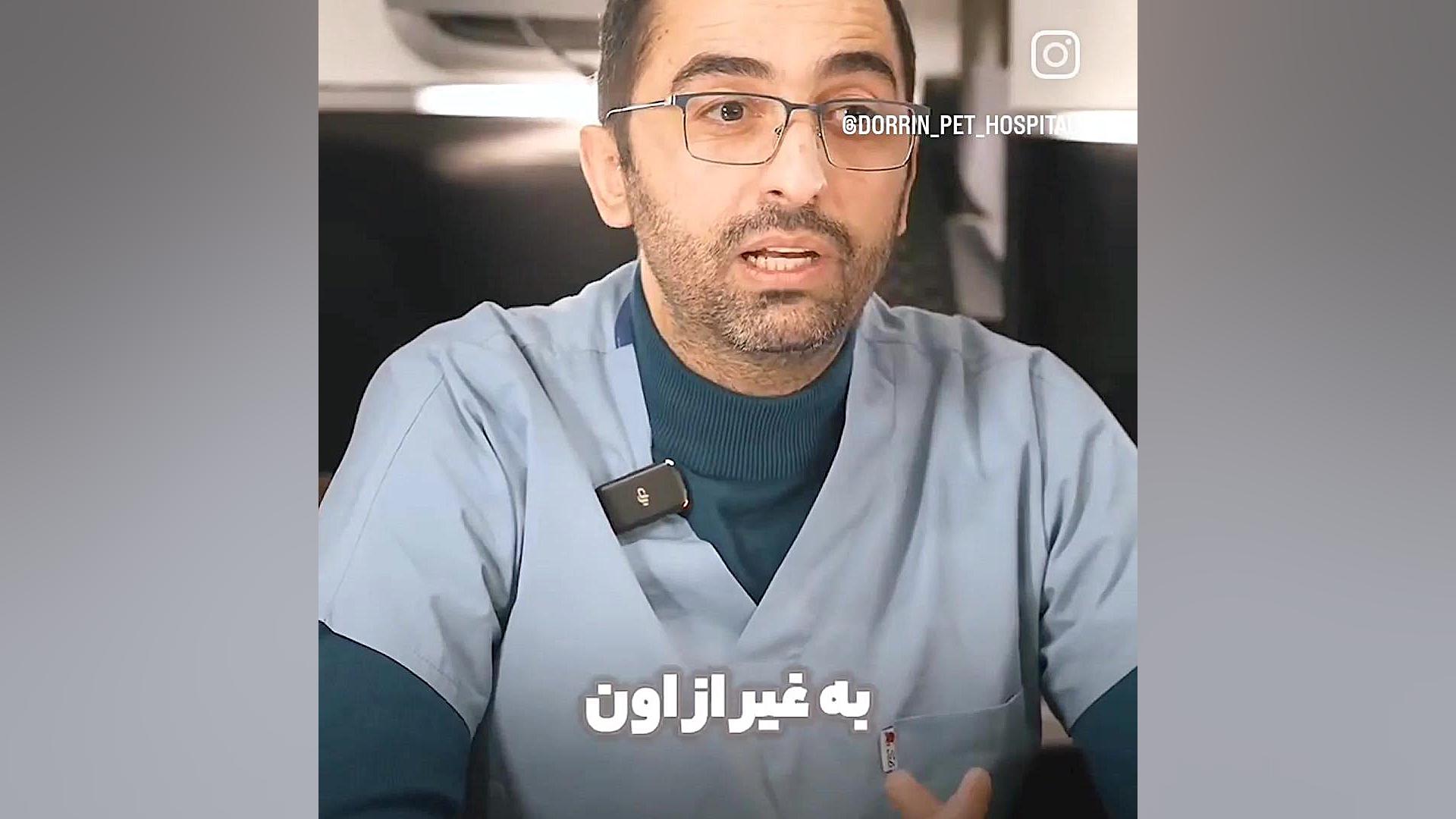 تغذیه و رژیم درمانی حیوانات درکلینیک تغذیه دامپزشکی شبانه روزی درین لیپوست