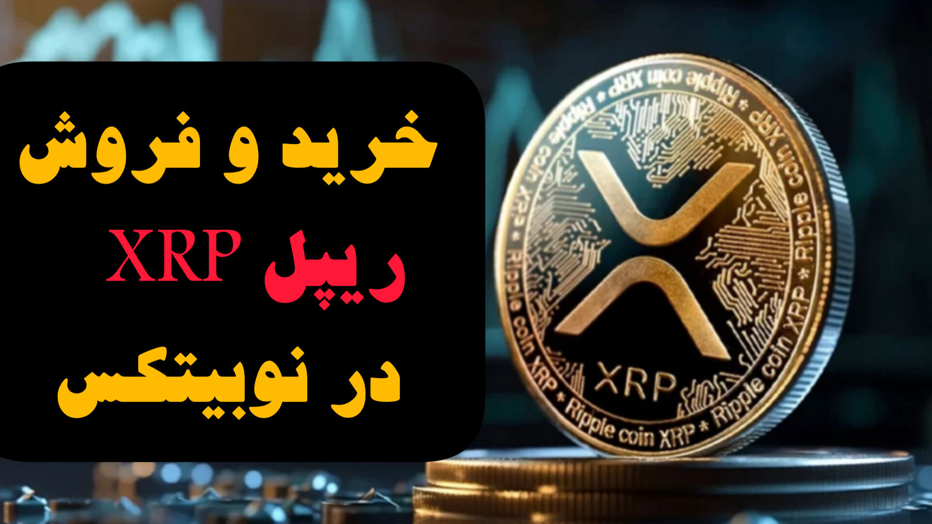 آموزش , خرید , فروش , ارز , ریپل , XRP , نوبیتکس , لینک , ثبت , صرافی , نوبیتکس
https: , nobitex , signup , ?refcode=803564