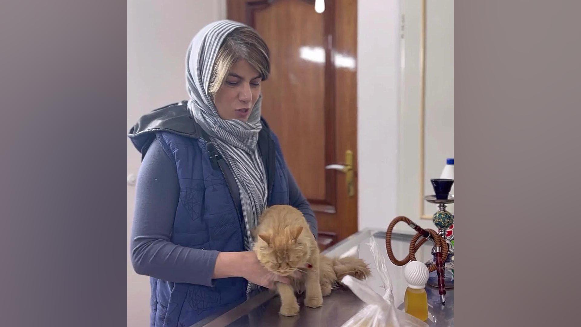 طنز علل رایج آلرژی تنفسی پت جوانسازی پوست