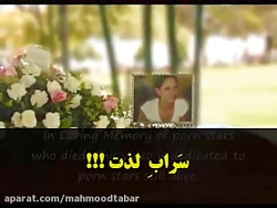 porn star fate (سرنوشت پورن اس...