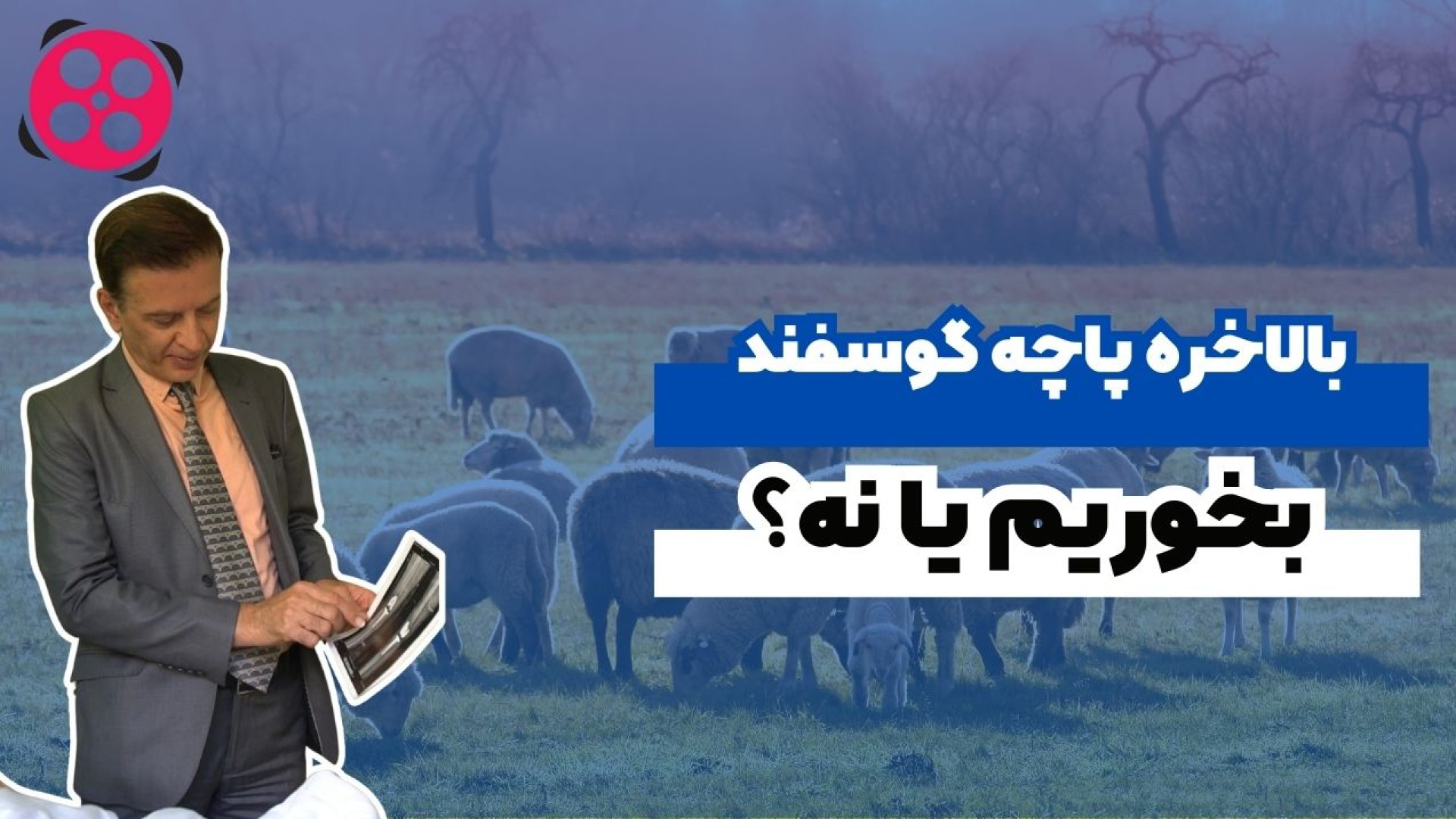 بالاخره پاچه گوسفند بخوریم یا نه؟! دکتر محمود جعفر بیگلو