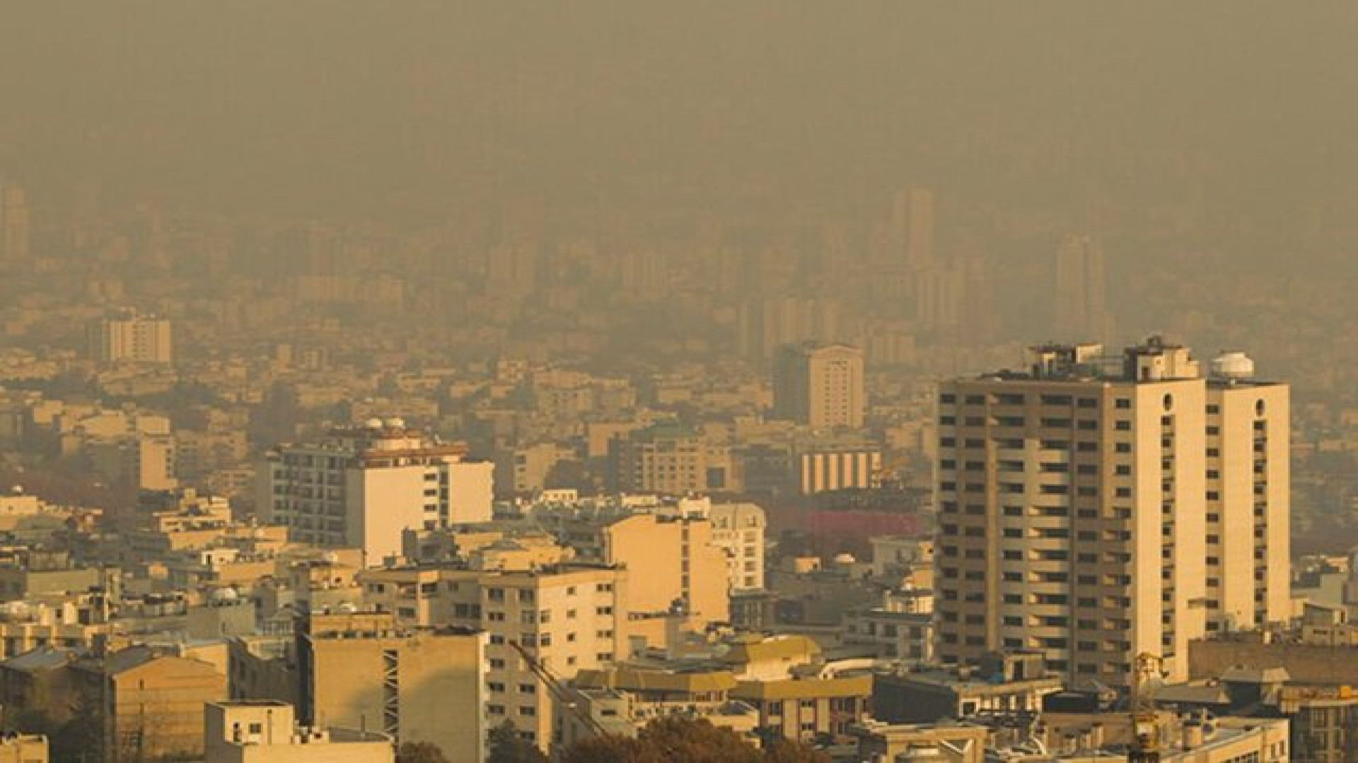 آیا آلودگی هوا از ابتلا به سرطان پوست جلوگیری می‌کند؟ اسکرین‌شات