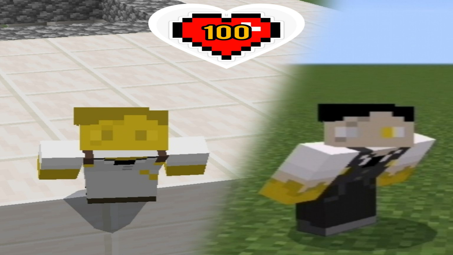 چالش 100 روزه ماینکرافت در نقش مایداس مهناز افشار