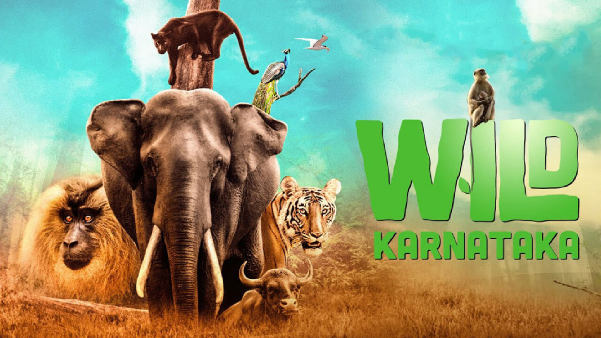 فیلم هندی حیات وحش کارناتاکا - Wild Karnataka 2020‏ زمان3159ثانیه