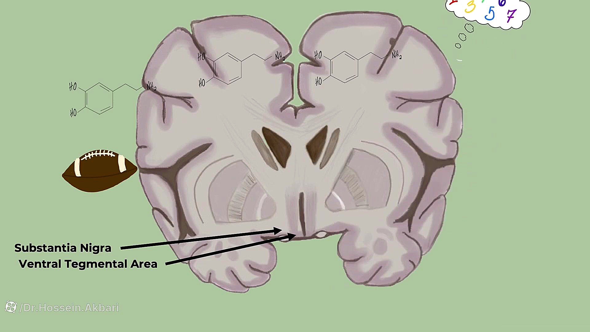 دوپامین به زبان ساده پای پتی