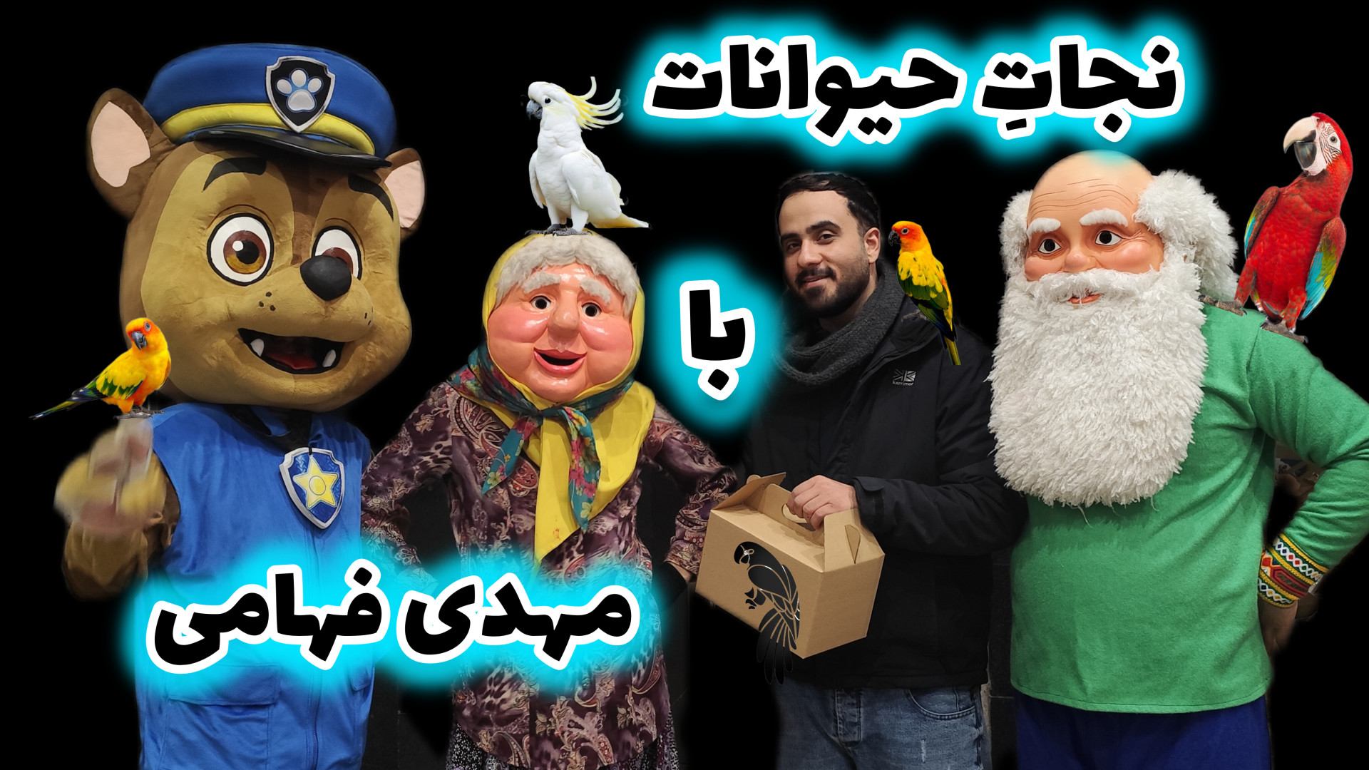 آموزش انواع درمان و تربیت جوجه طوطی سرلاکی و سخنگو درمان بیماری های طوطیسانان پزشکی فضاپویا