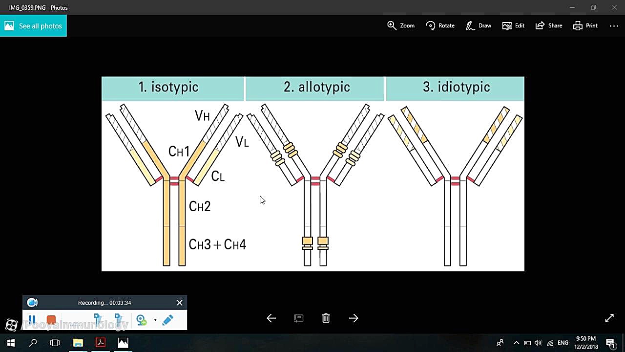 آنتی بادی و گیرنده های Fc - فصل 3 - قسمت 2 | Antibody and Fc Receptors پلاسماجت