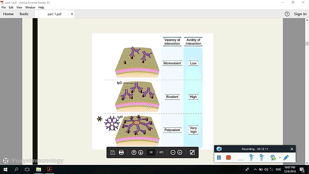 آنتی بادی و گیرنده های Fc - فصل 3 - قسمت 7 | Antibody and Fc Receptors کاشت ابرو