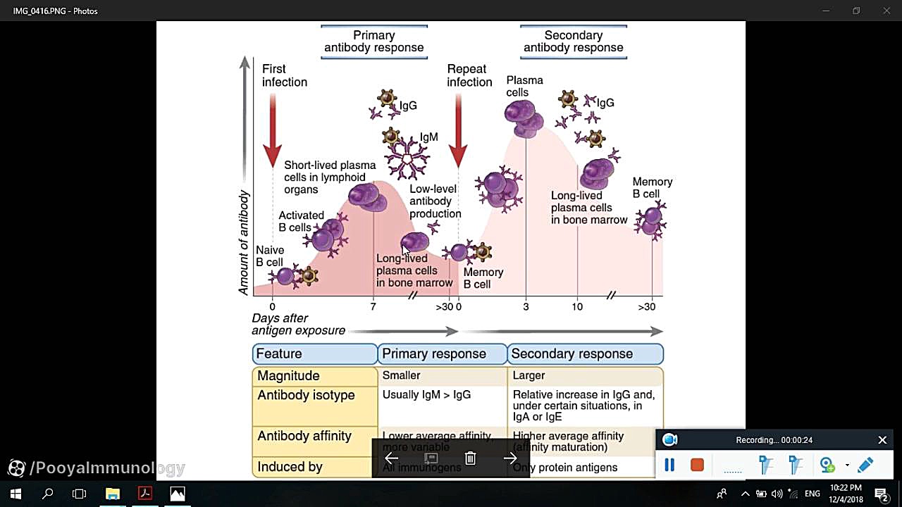 آنتی بادی و گیرنده های Fc - فصل 3 - قسمت 8 | Antibody and Fc Receptors هپاتواسپلنومگالی