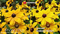 مقایسه دوربین iPhone 7 Plus vs...