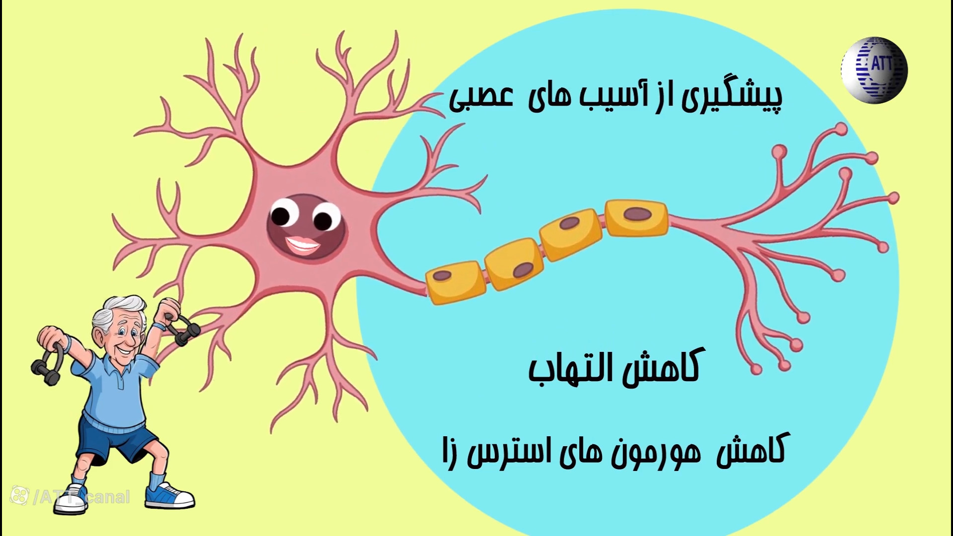 انیمیشن پیشگیری از آلزایمر با ورزش