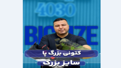 کتونی جردن 4 سایزبزرگ4030