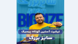 تیشرت بیسیک سایزبزرگ4030(کدمحصول:315)