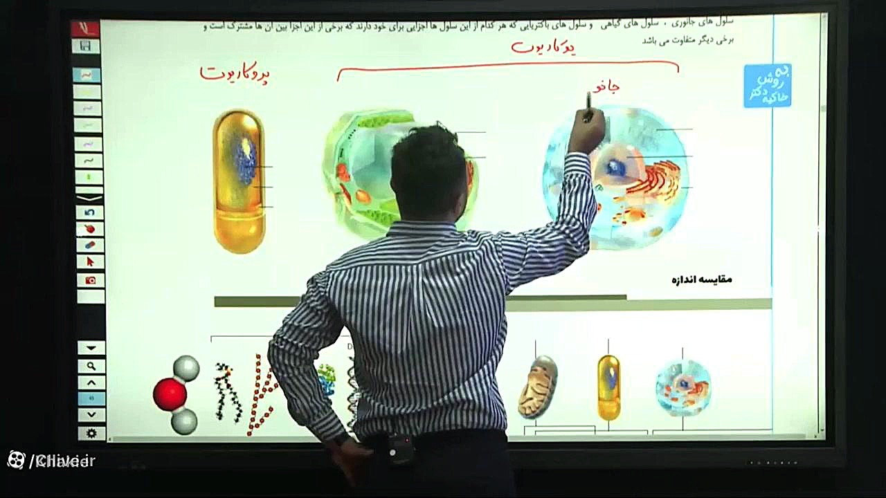 انواع سلول ( فصل ۱ دهم ) جراحی پف زیر چشم