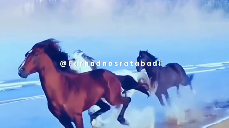 اهمیت عزت نفس و اعتماد به نفس در کیفیت زندگی