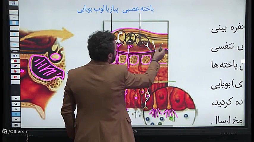بویایی ( فصل ۲ یازدهم ) بیماری سندروم آلاژیل