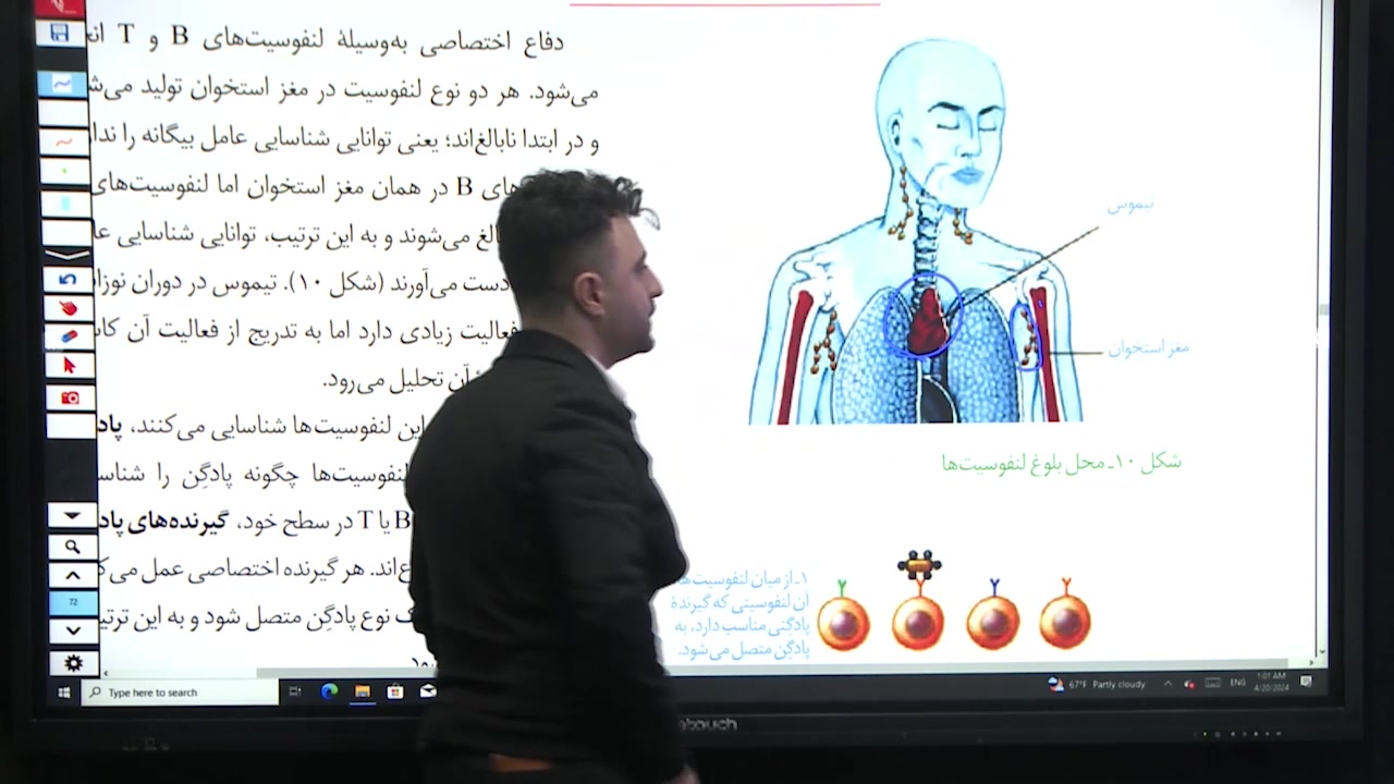 محل بلوغ لنفوسیت ها (فصل 5 یازدهم ) زمان111ثانیه