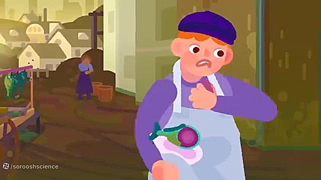 علت آلرژی یا حساسیت چیه؟ اصلاح فرم صورت