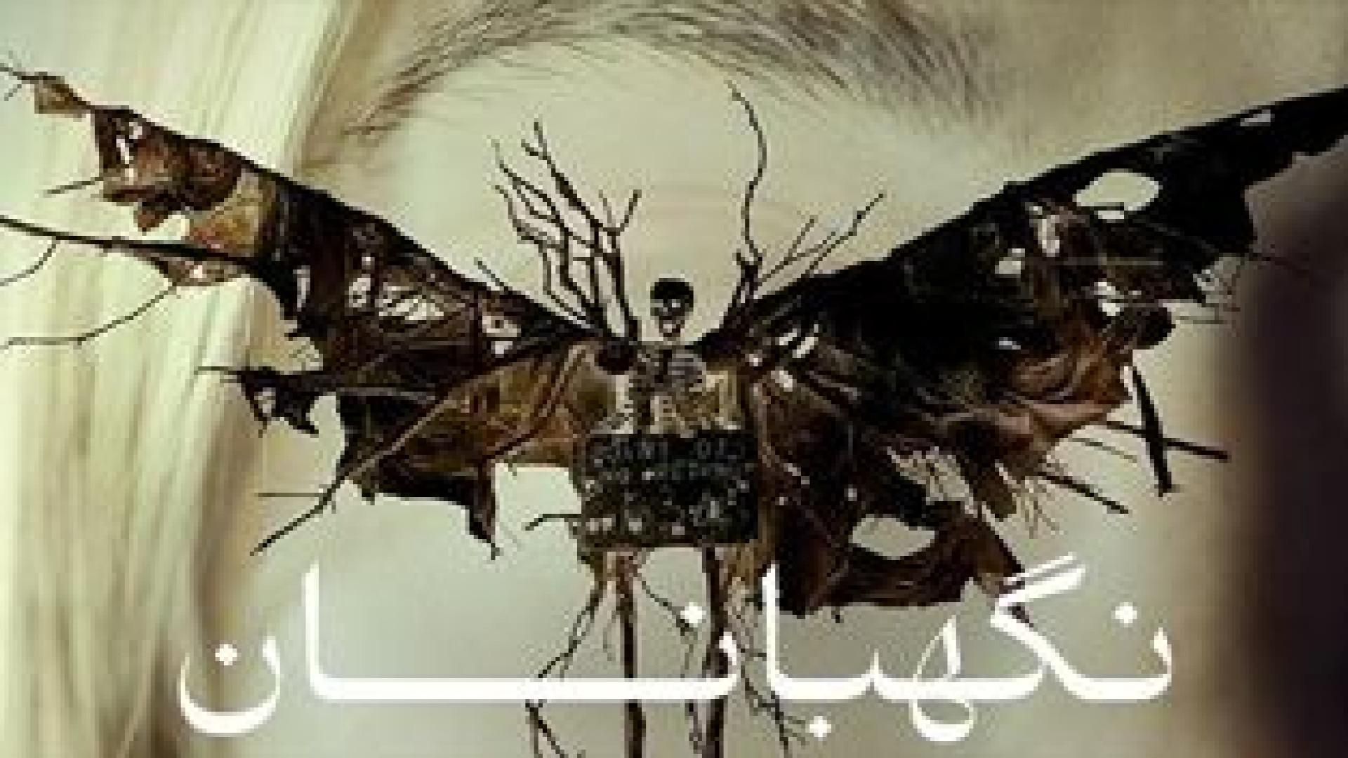 فیلم ترسناک نگهبانان دوبله فارسی - The Watchers 2025 - فیلم ترسناک جدید اپلیکیشن چت