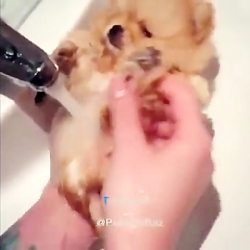 دابسمش های فوق العاده خنده دار...