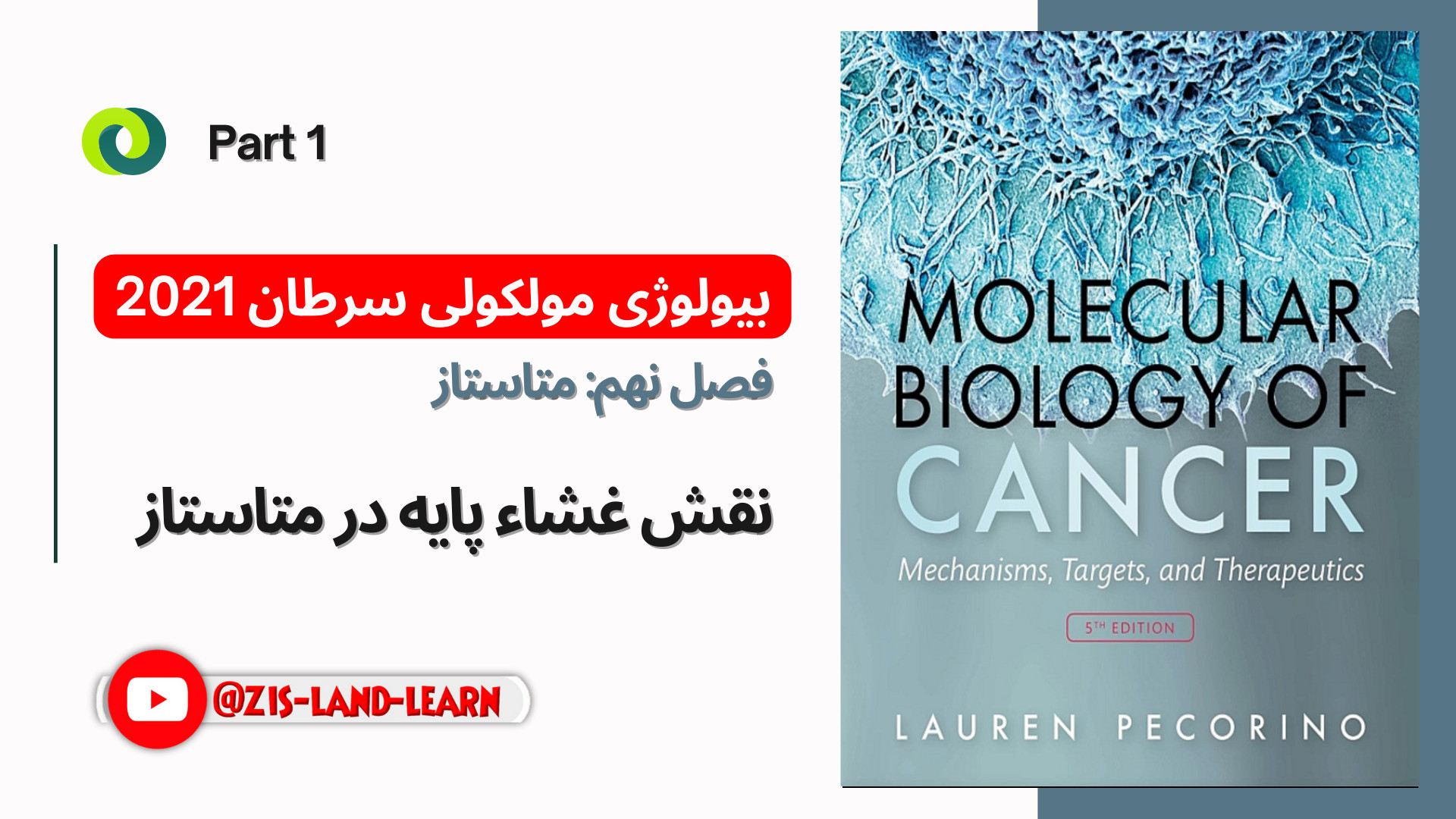 بیولوژی مولکولی سرطان پکورینو | اهمیت بالینی غشا پایه در متاستاز دندانپزشکی کودکان