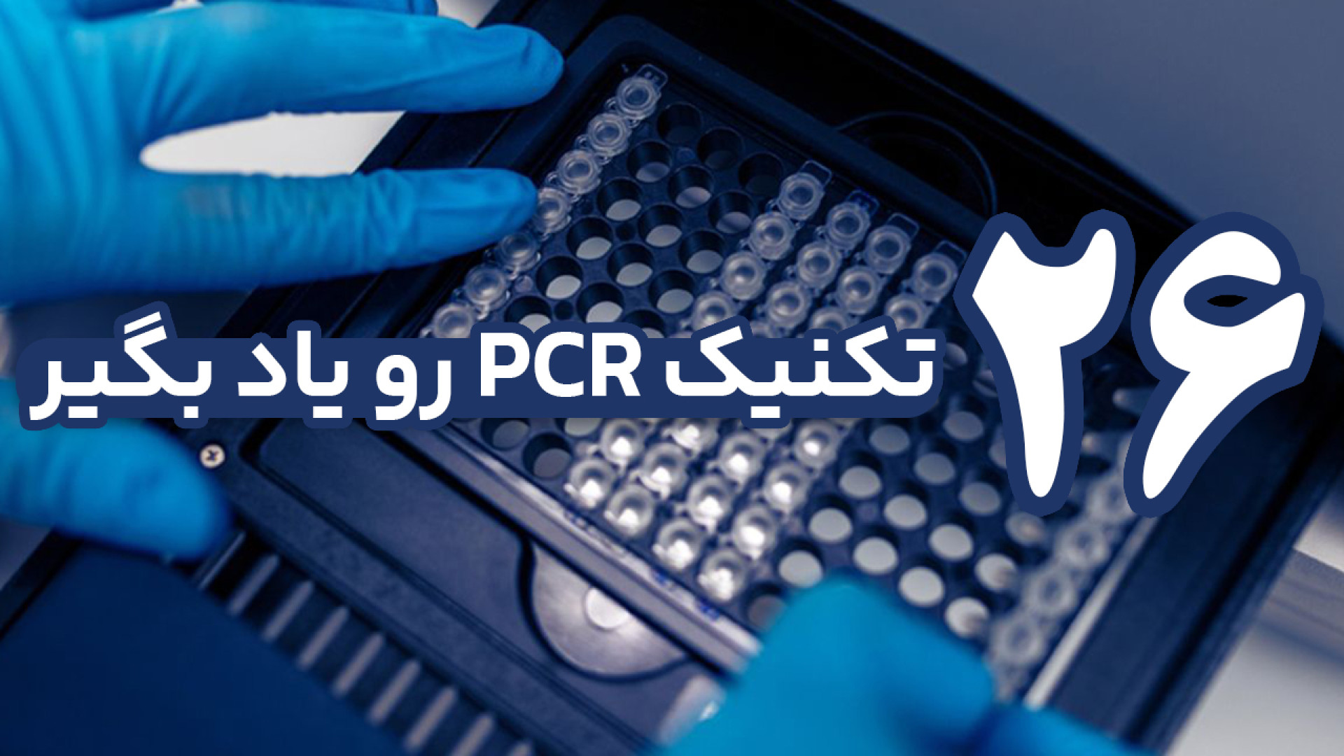شرح 26 تکنیک PCR به زبان فارسی در زمینه بیولوژی مولکولی و پزشکی ترند روز