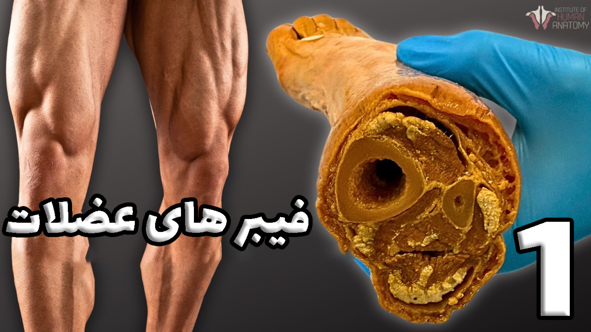 Amouzesh_Kadeh